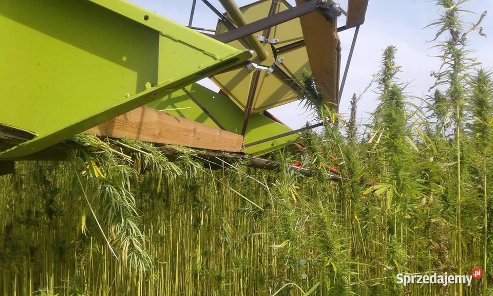 Przystawka heder kombajn do konopii 28 m lubelskie Potok Górny sprzedam