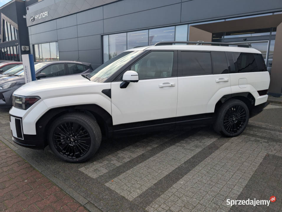 Caligraphy 16 TGDI HEV 6AT 4WD 6os Creamy White wielkopolskie Kalisz