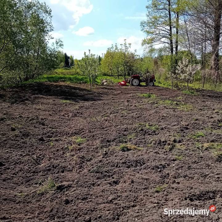 usługi Radom prace ogrodowe