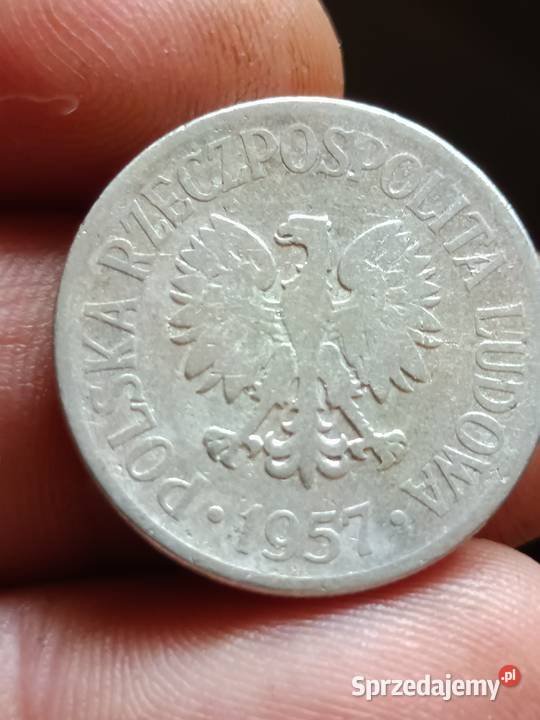 Sprzedam monete 50 groszy 1957 mala skretka sprzedam