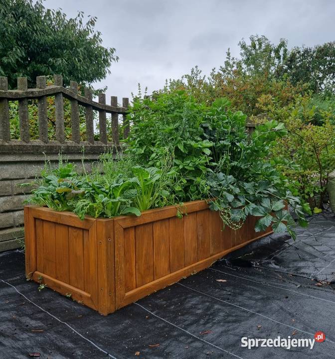 Warzywnik drewniany skrzynia ogrodowa zielnik Kalety