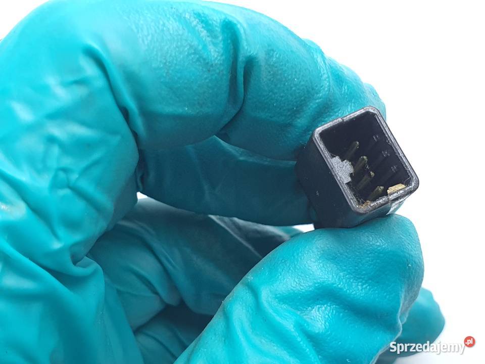 Kosrtka Wtyczka Wiazka Instalacja Triumph Speed Łódź