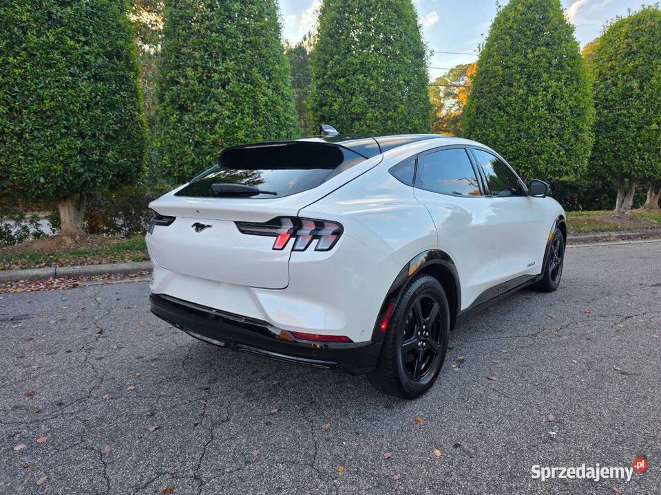 Ford Mustang MachE 2021 California Route 1