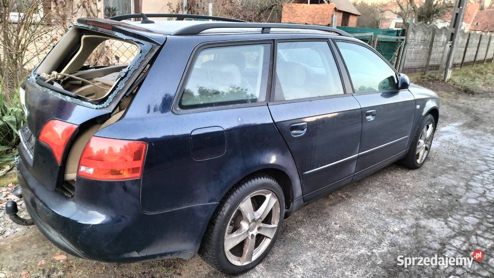 audi a4 b6 dawca Wołów