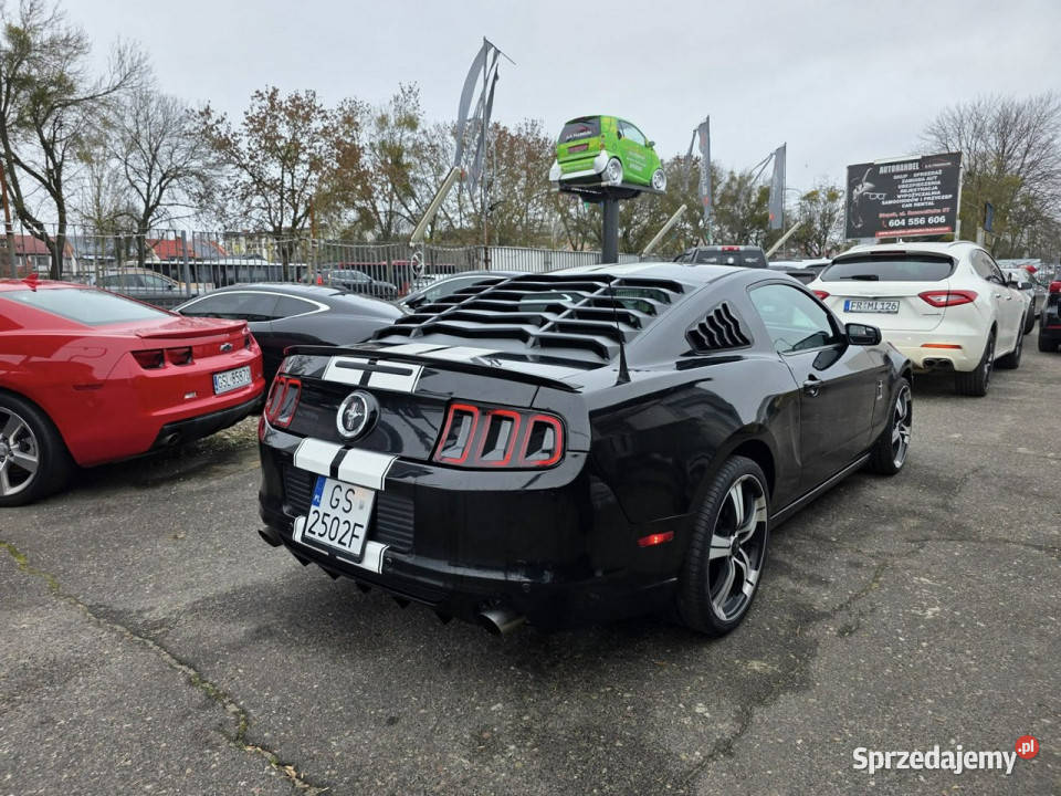 Ford Mustang 37 Benzyna V6 305 Manual Led Xenon wielofunkcyjna kierownica Słupsk