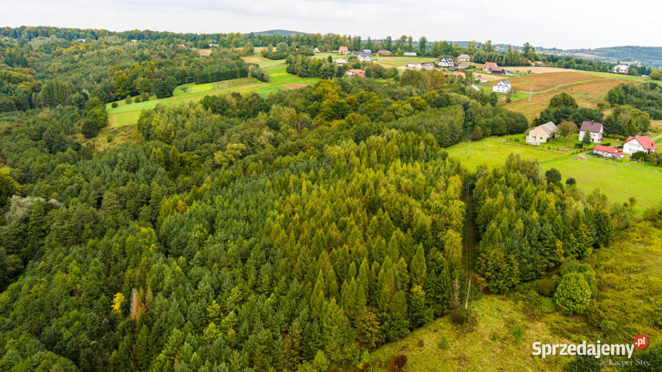 Na sprzedaż działka w Zalasowej rolna Zalasowa sprzedam