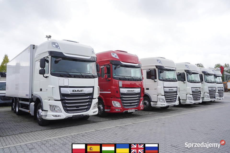 DAF XF 480 E6 6x2 Chłodnia 18 palet 6 lodówka