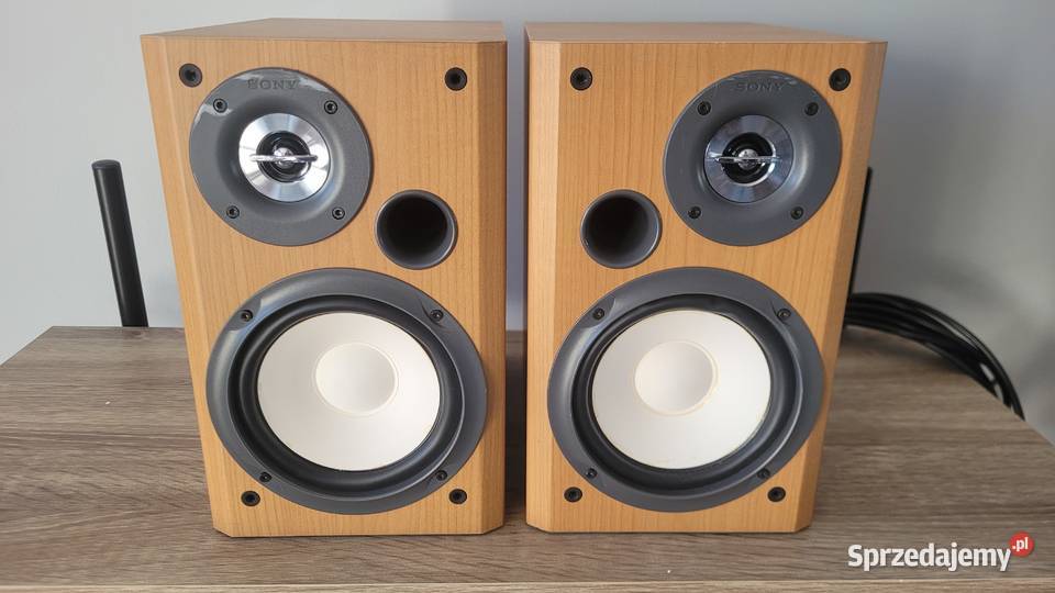 Kolumny SONY SSCCP300 100 sprawne głośniki 6 ohm