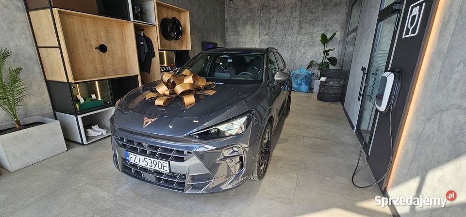 CUPRA TERRAMAR ADVANTAGE EDITION 2026r. 2,0 TSI 4x4 204 KM MATRIX, HUD, HAK