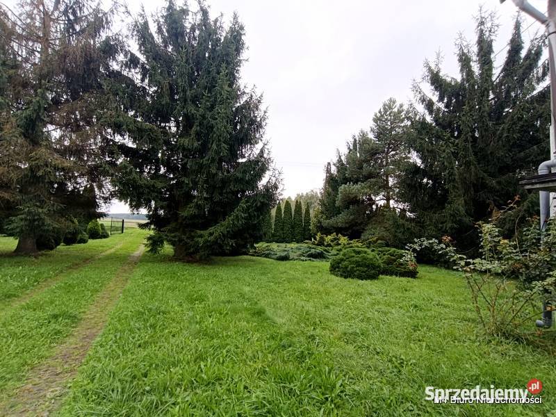 DOM W JASZCZWI Z DUŻĄ DZIAŁKĄ 53 AR Jaszczew