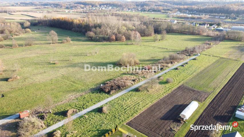 Działka na sprzedaż 981 metrów Krzeczów Nieruchomości małopolskie