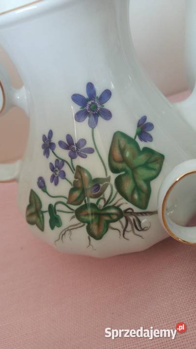 Biały dzbanek z przylaszczką Anemone Hepatica Gdańsk