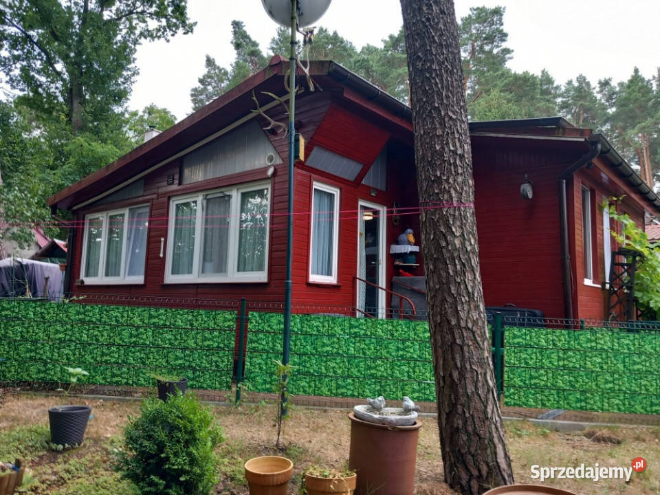 Domek letniskowy jeziorem Ilno Bez pośredników Torzym sprzedam