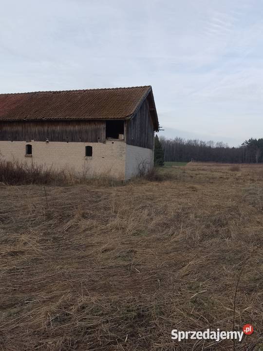 Sprzedam pół domu Połapin