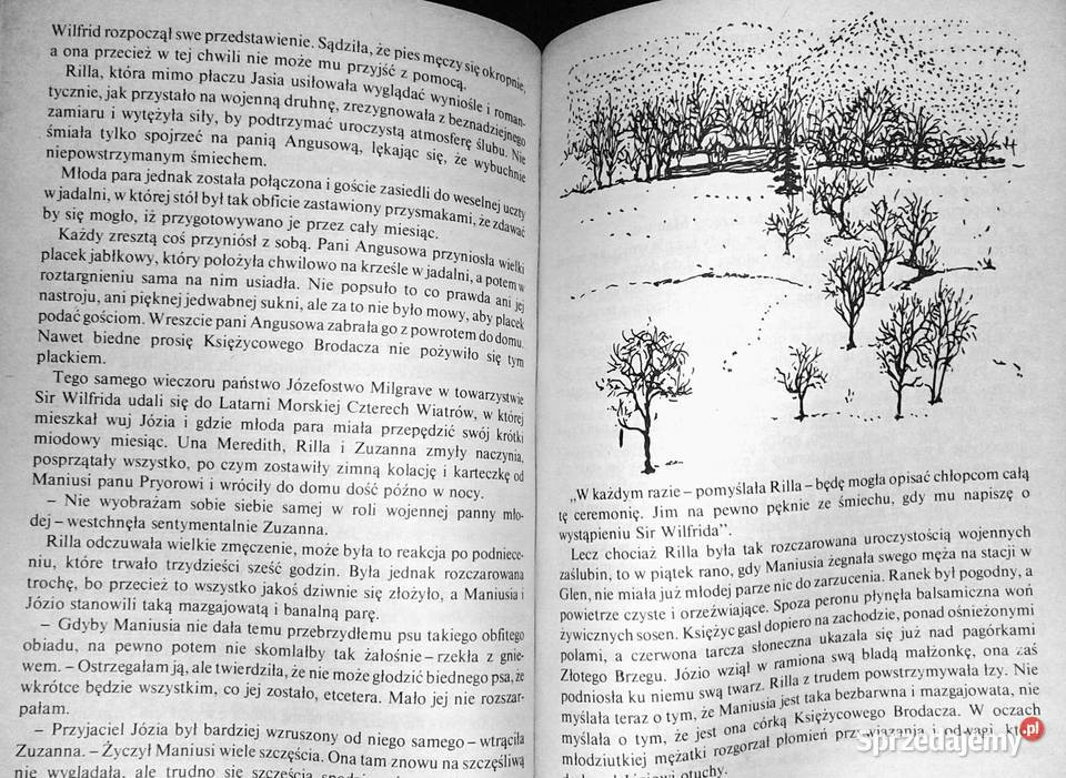Rilla ze Złotego Brzegu Lucy Maud Montgomery lubelskie sprzedam