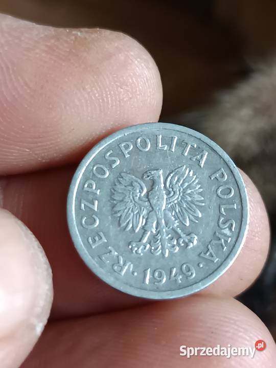 Sprzedam 10 gr 1949 Chełm sprzedam