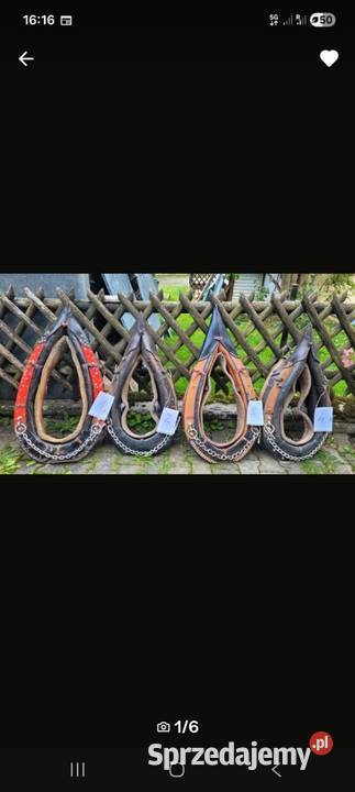 Homonta homonto Kluczbork sprzedam