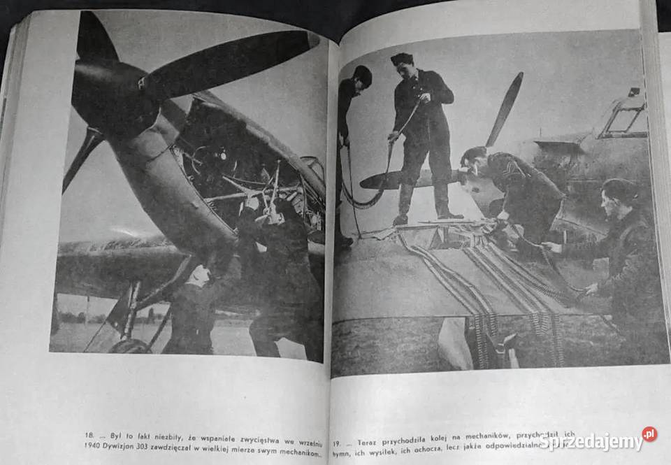 Dywizjon 303 Arkady Fidler miękka