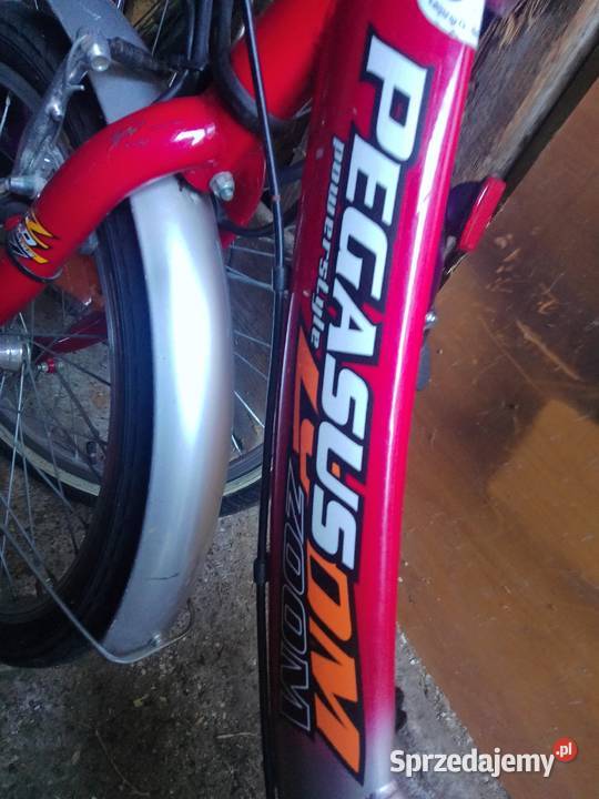 Sprzedam rower dziecięcy Aluminiowy PEGASUS 20c Polkowice