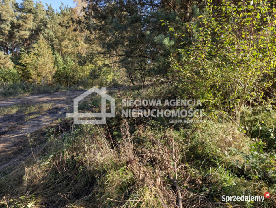 Działka Gdańsk 1145m2 1145m2 Sprzedaż
