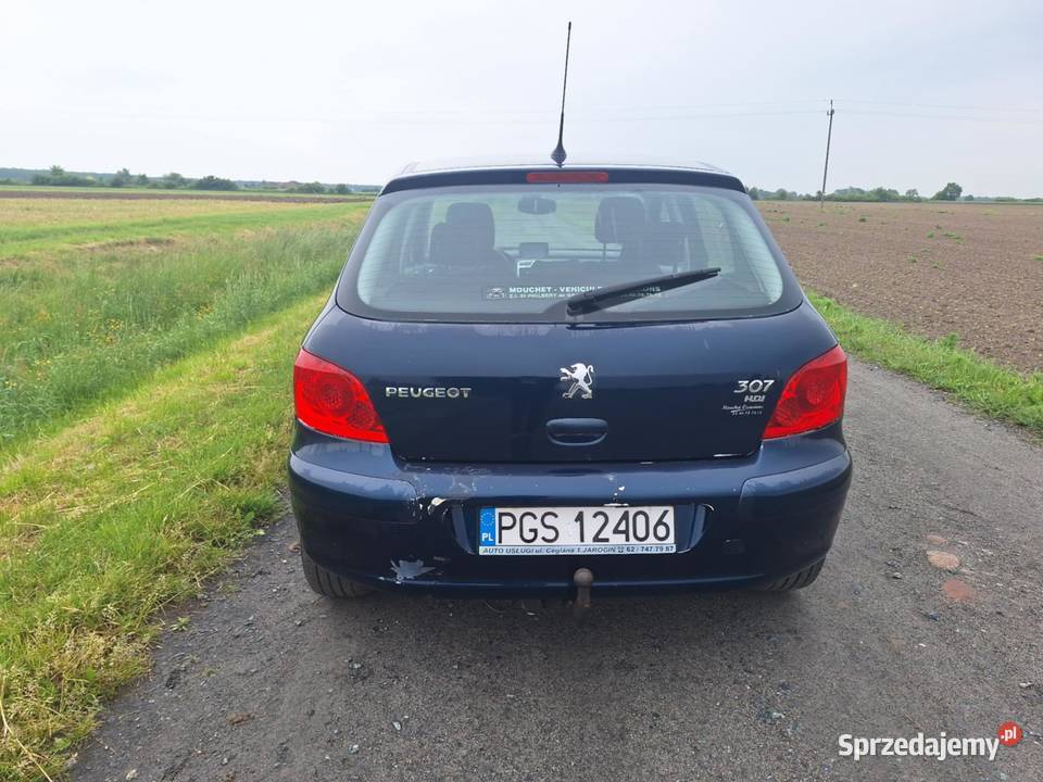 Peugeot 307 16 HDI nieuszkodzony Pępowo sprzedam