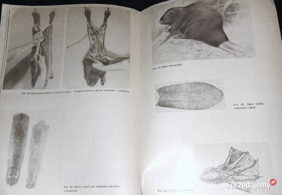 Hodowla zwierząt futerkowych Władysław Herman lubelskie