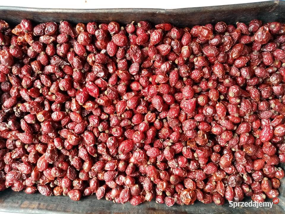 Sprzedam suchą dziką róże owoc Zdrowie i Uroda Kraków