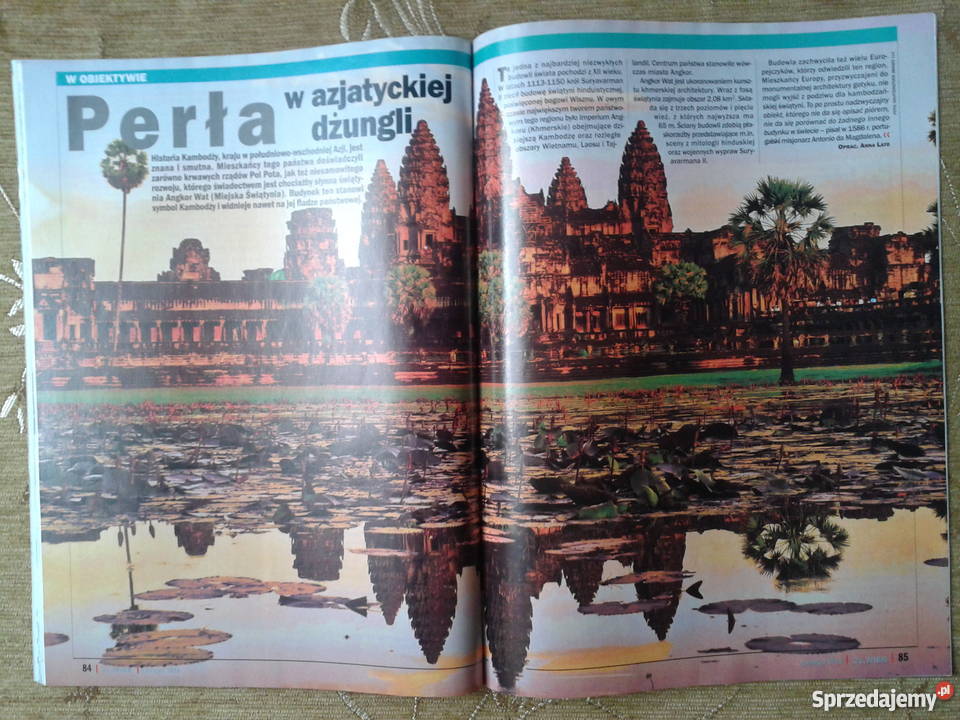 21 WIEK 6 2010 BROŃ W WALCE Z ŁUSZCZYCĄ