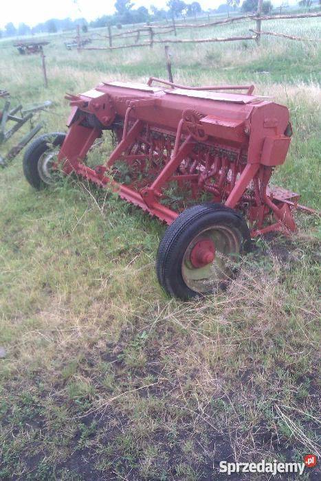 siewnik poznaniak starego Przynotecko