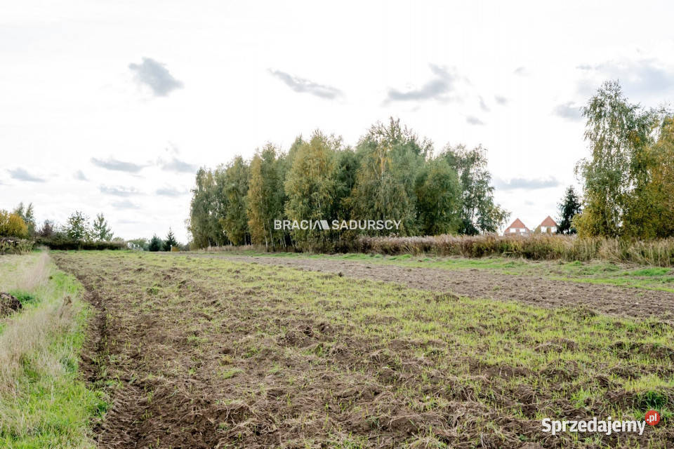 sprzedaży działki Cholerzyn 2500 metrów 2500m2