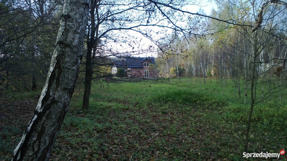 Sprzedam dom 83 m2 działka 2970 m2 Kostkowice po