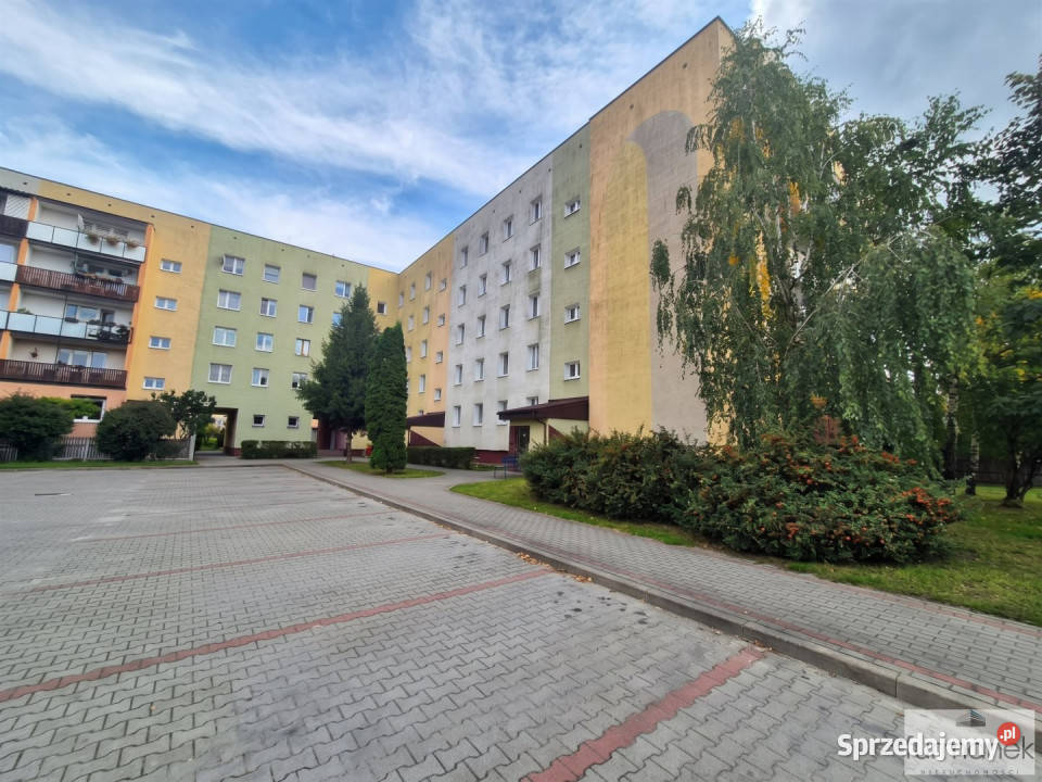 Ogłoszenie mieszkanie Biłgoraj 62 metry 3