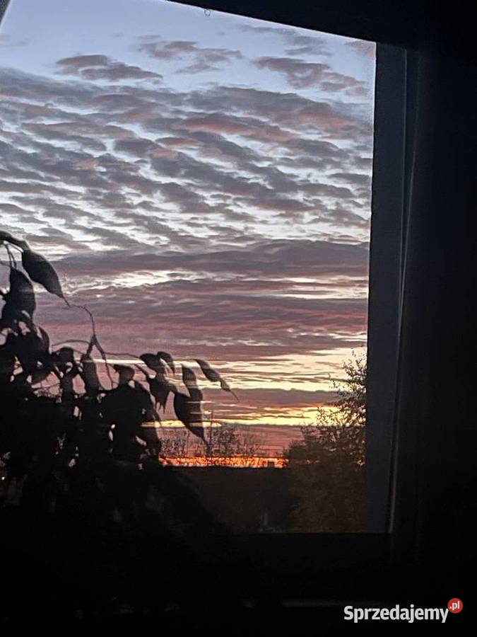 Mieszkanie z dużym ogrodemcztery pokoje bliźniak Rok budowy 2022 Dębogórze