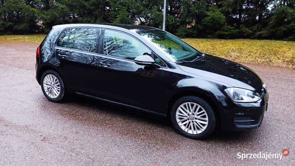 16 tdi zadbany 4x4 89550km Jaszkowa Dolna