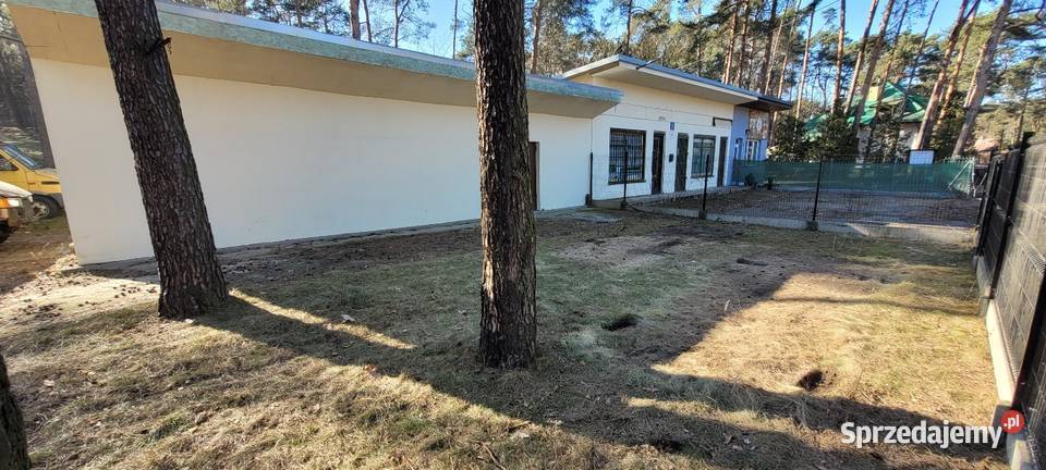 Wynajmę miejsce pod foodtruck Grotniki