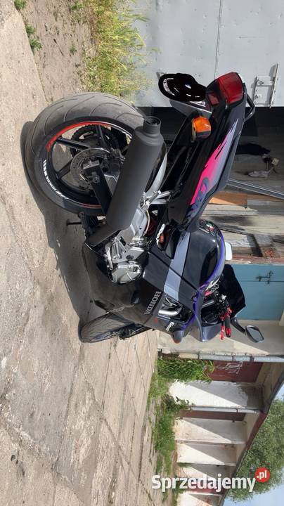 Honda cbr 600 Elbląg