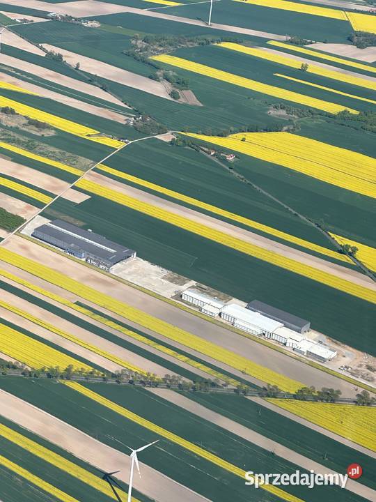 119 nadstawkę NOWA MROŹNIA Najniższe ceny Dobrzyń nad Wisłą