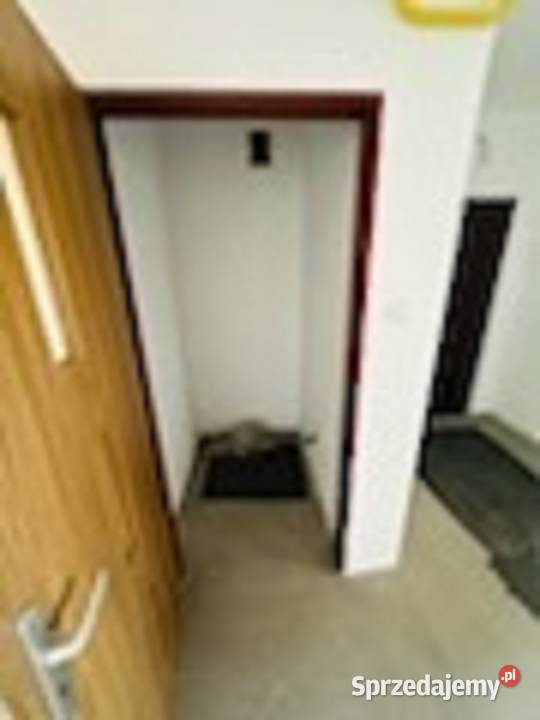 3pok 64met Jaracza BALKON PIWNICA GARAŻ 2001 Sprzedaż Wrocław