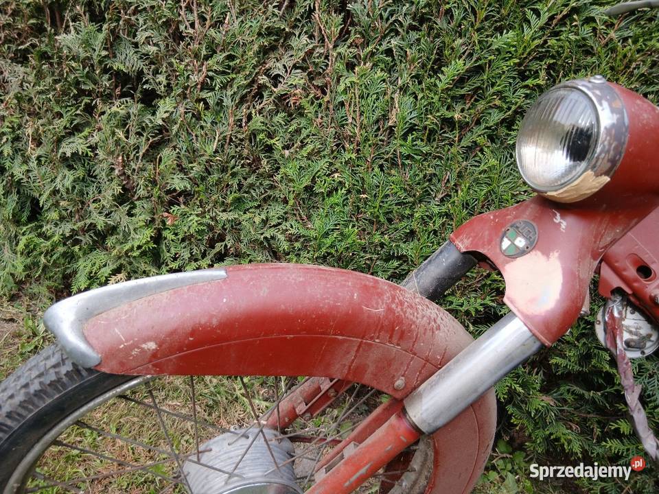 Ryś Żak Komar Simson PUCH