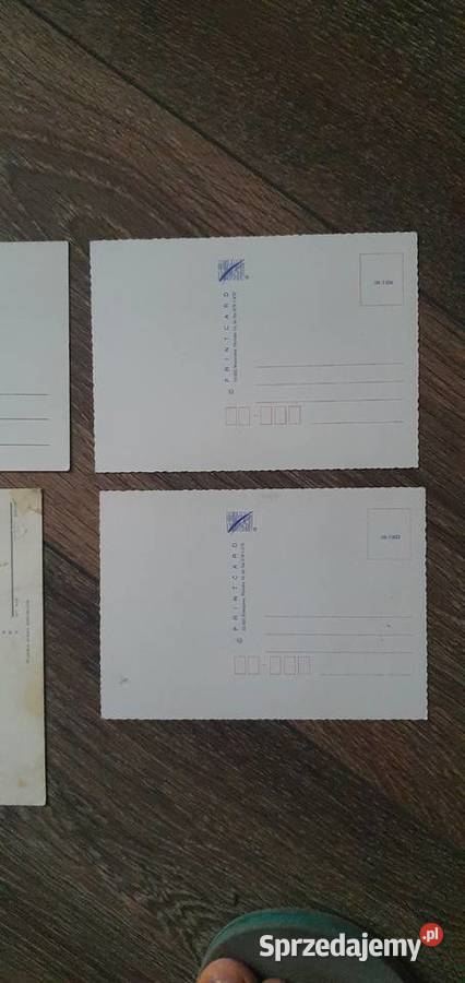 Stare kartki pocztowe miasta i konie