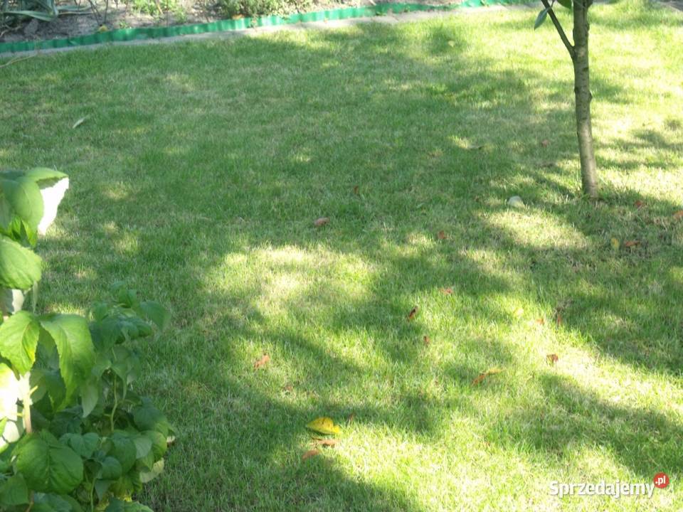 Sprzedam dzialke rekreacyjna ROD Zacisze 54zł/m2 kujawsko-pomorskie Grudziądz