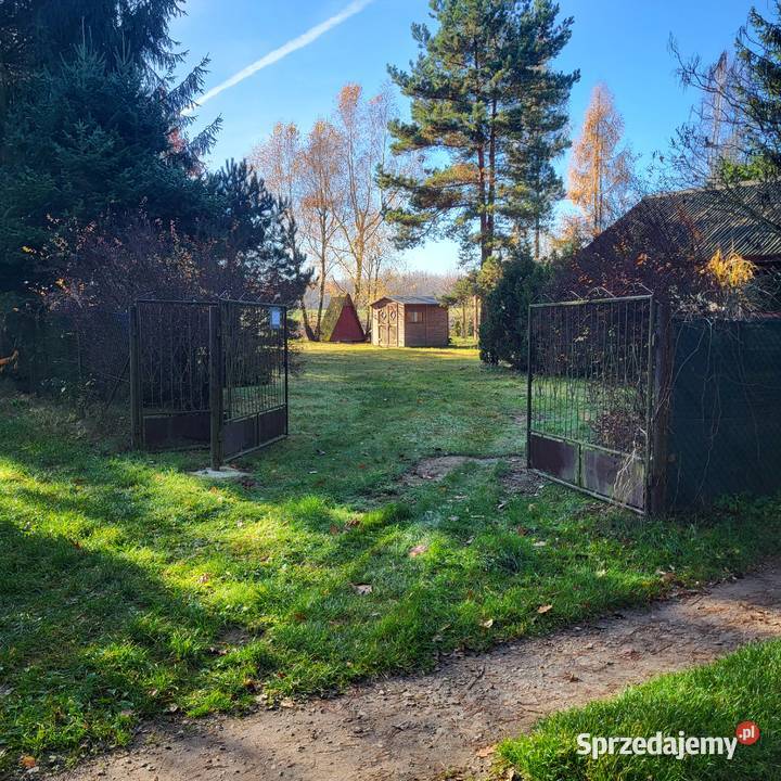 Działka letniskowo rekreacyjna Lublin