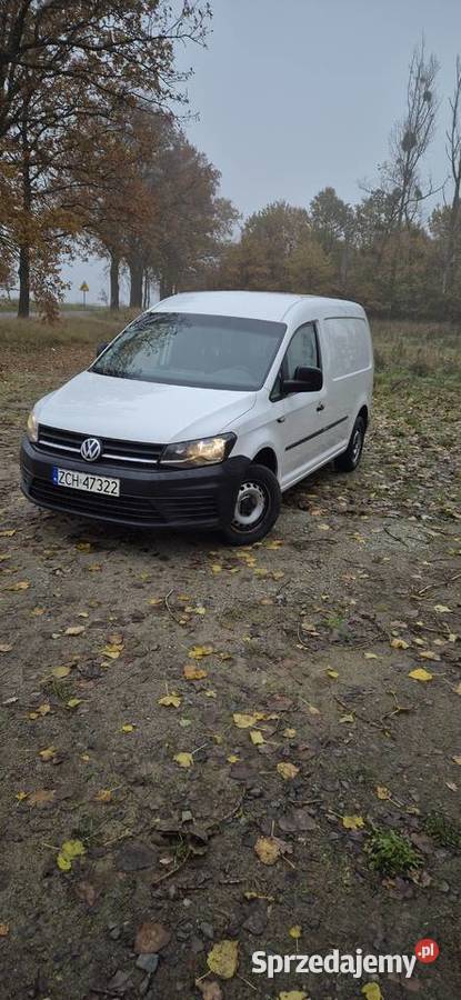 Volkswagen Caddy 2019 20 TDI 75 kW FVAT 23 Biały 1986cm3 zachodniopomorskie sprzedam