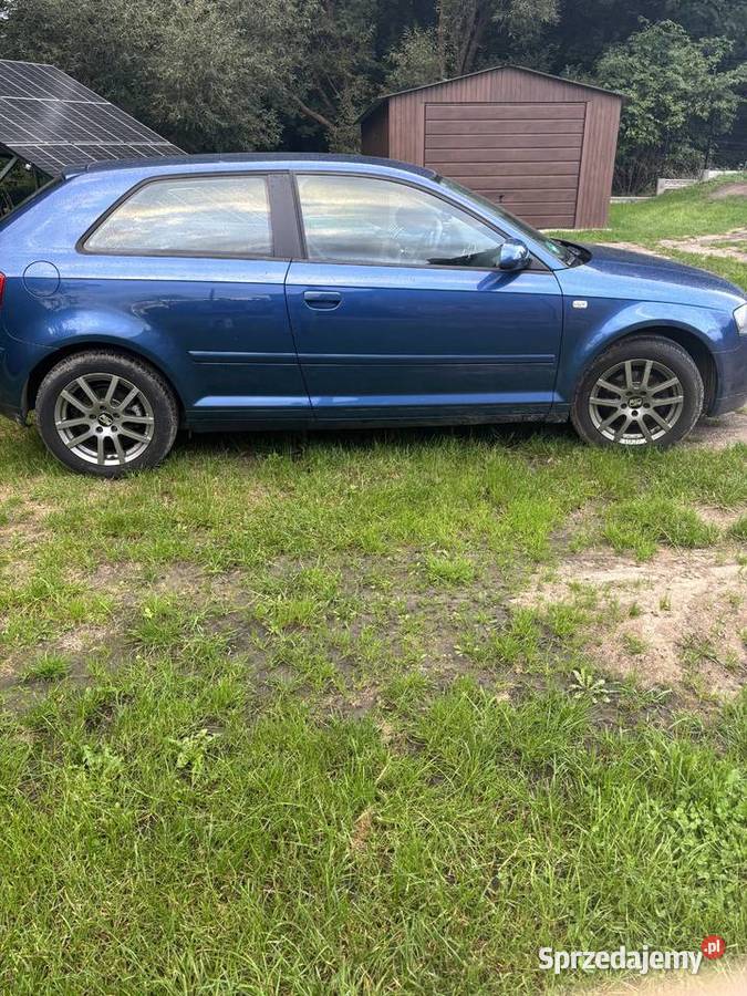 Audi a3 8p 16 mpi Boguchwały