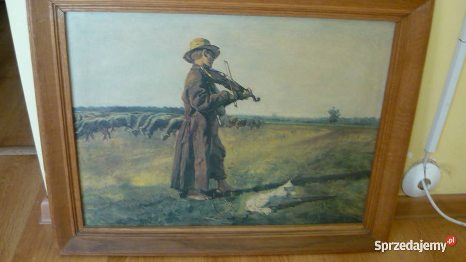 Obraz Owczarek Myszków