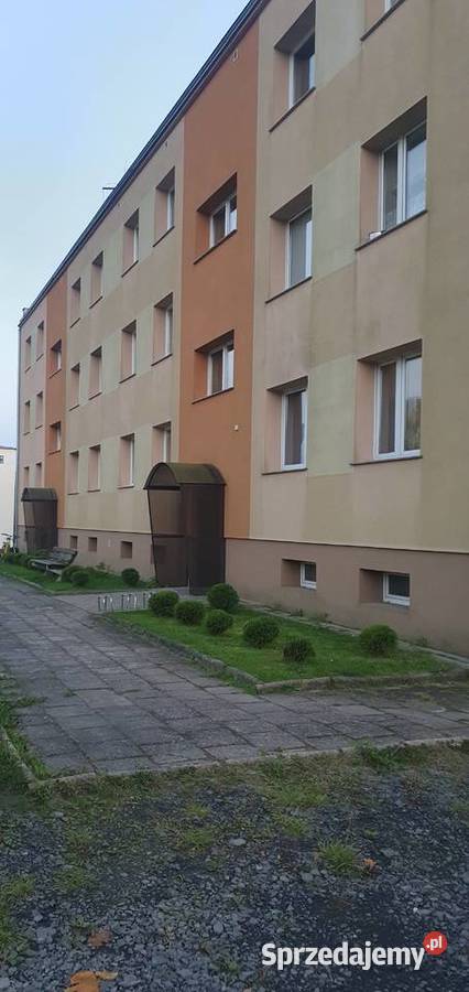 Mieszkanie 2pokojowe 50mkw Nowa Wieś kBolesławca