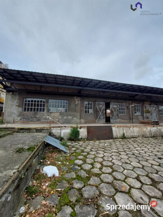 Lokal Katowice 423m2 sprzedam