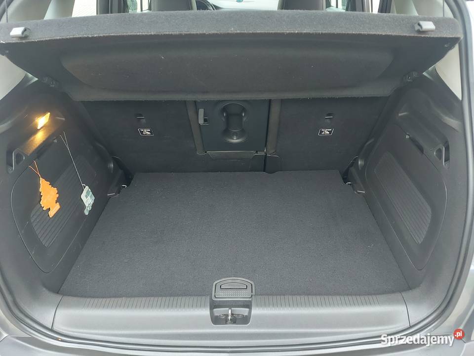 Opel 2017 radio Gołuchów