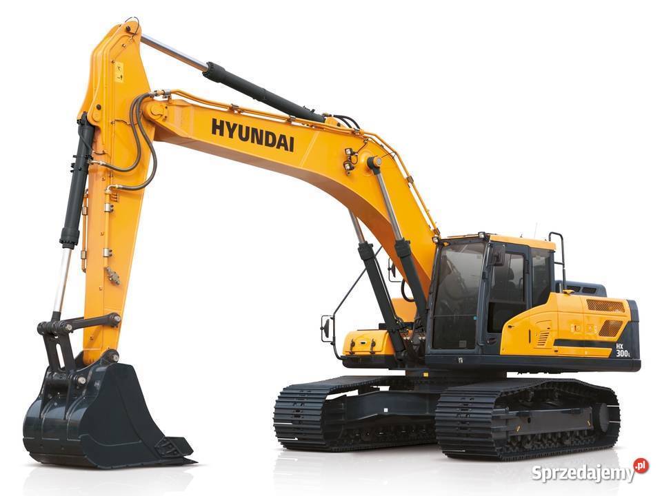 HYUNDAI HX HW HL HA Adblue SCR DPF EGR Naprawa małopolskie Brzesko