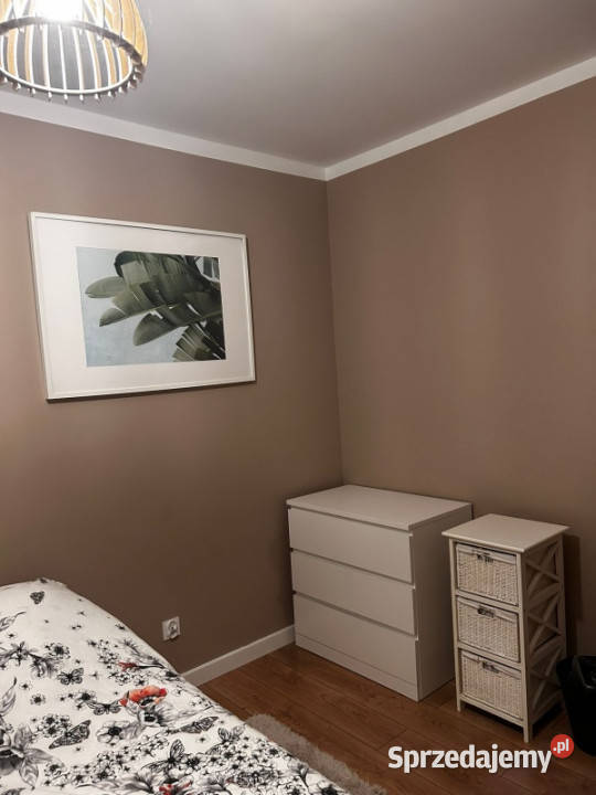 Wynajmę mieszkanie 2 pokojowe rozkładowe Jagodno Wrocław